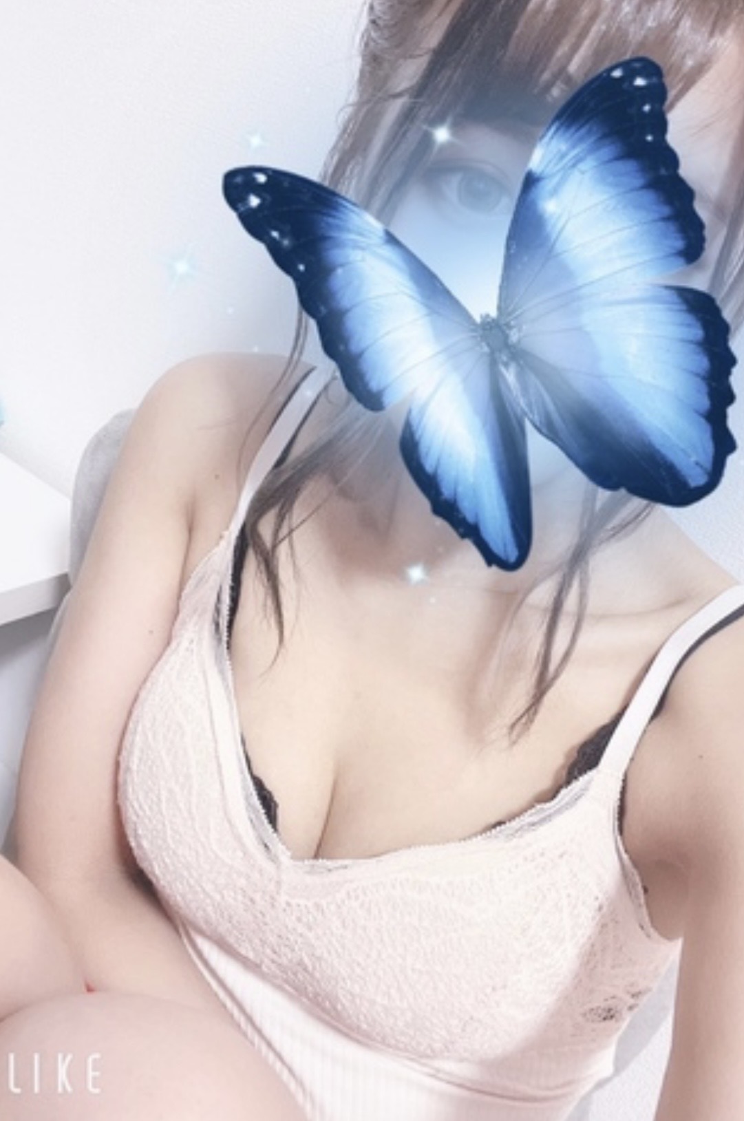 白鳥のぞみの写真